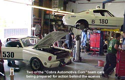 Cobra Automotive team cars